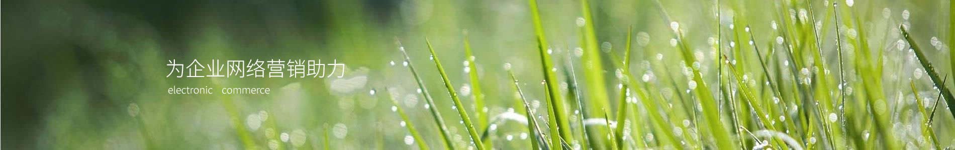 ݻʼѶܽ޹˾